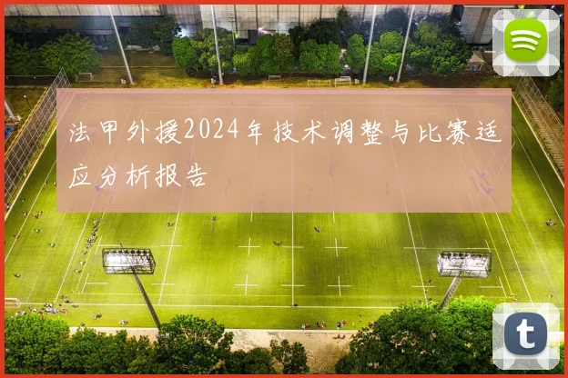 法甲外援2024年技术调整与比赛适应分析报告