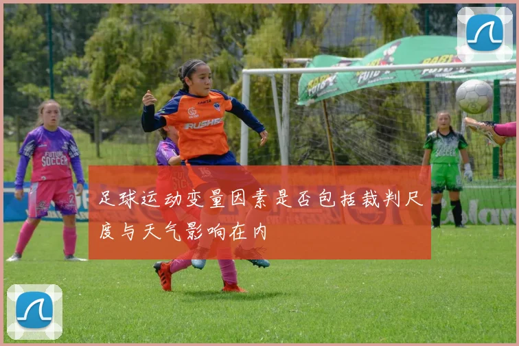 足球运动变量因素是否包括裁判尺度与天气影响在内