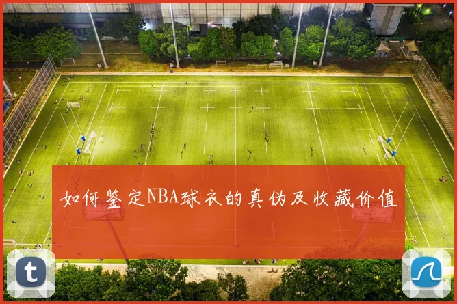 如何鉴定NBA球衣的真伪及收藏价值