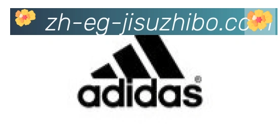极速直播合作伙伴